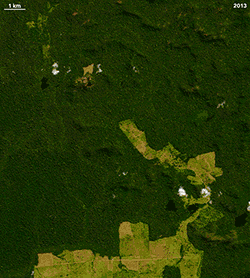 Aerial Gif of the rapid evolution of deforestation thanks to meat agriculture